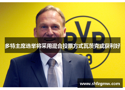 多特主席选举将采用混合投票方式瓦茨克或获利好