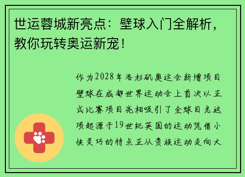 世运蓉城新亮点：壁球入门全解析，教你玩转奥运新宠！